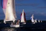 Sports-Sail 75-45-08318