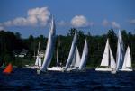 Sports-Sail 75-45-08334