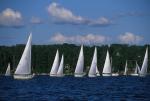 Sports-Sail 75-45-08337