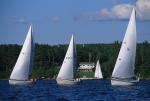 Sports-Sail 75-45-08340