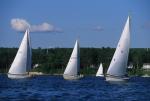 Sports-Sail 75-45-08341