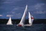 Sports-Sail 75-45-08413