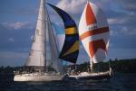 Sports-Sail 75-45-08478