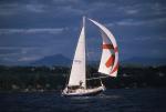 Sports-Sail 75-45-08486