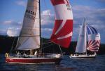 Sports-Sail 75-45-08499