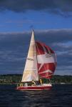 Sports-Sail 75-45-08521