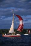 Sports-Sail 75-45-08523