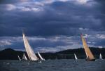 Sports-Sail 75-45-08530