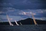 Sports-Sail 75-45-08531