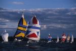 Sports-Sail 75-45-08539