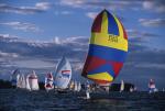 Sports-Sail 75-45-08544