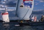 Sports-Sail 75-45-08546