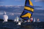 Sports-Sail 75-45-08554