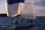 Sports-Sail 75-45-08566