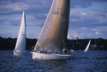 Sports-Sail 75-45-08589