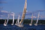 Sports-Sail 75-45-08597