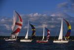 Sports-Sail 75-45-08621