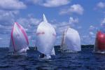 Sports-Sail 75-45-08728