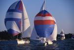 Sports-Sail 75-45-08811