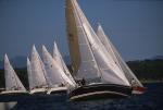 Sports-Sail 75-45-08817