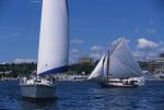 Sports-Sail 75-45-08819