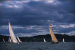 Sports-Sail 75-45-08821