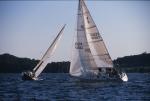 Sports-Sail 75-45-08825