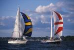 Sports-Sail 75-45-08831