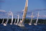 Sports-Sail 75-45-08833