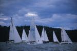 Sports-Sail 75-45-08836