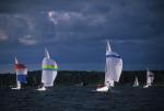 Sports-Sail 75-45-08845