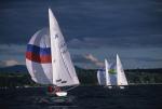 Sports-Sail 75-45-08846