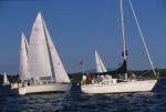 Sports-Sail 75-45-08848