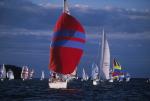 Sports-Sail 75-45-08850