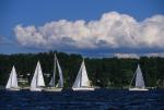 Sports-Sail 75-45-08851