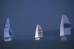 Sports-Sail 75-45-08856