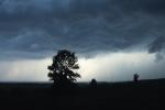 Scenery-Storms 70-15-00540