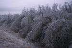 Scenery-Storms 70-15-00558