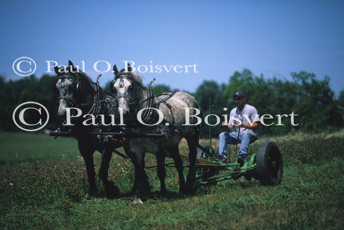 Farm-Shelburne Farms 30-25-01771