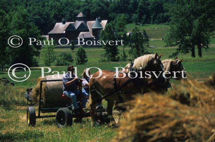 Farm-Shelburne Farms 30-25-01687