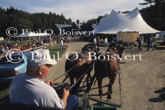 Farm-Shelburne Farms 30-25-01095