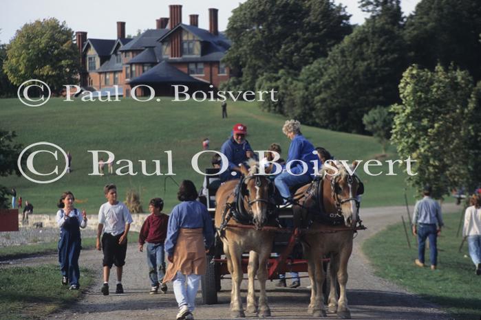 Farm-Shelburne Farms 30-25-01071