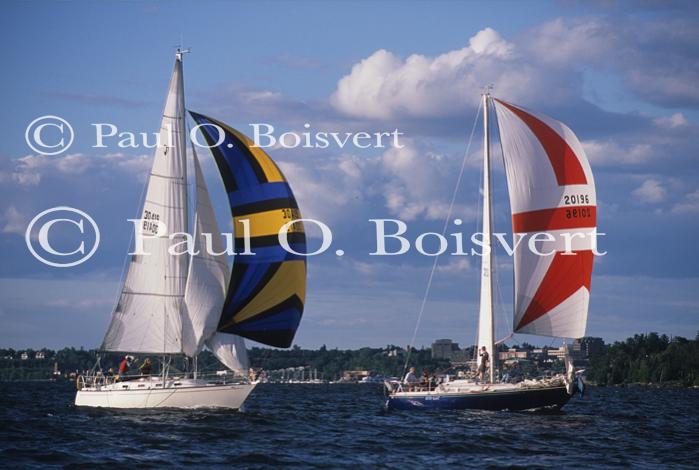 Sports-Sail 75-45-08831