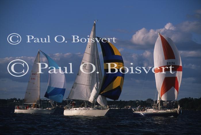 Sports-Sail 75-45-08474