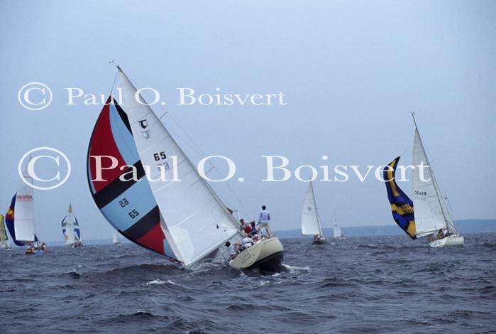 Sports-Sail 75-45-05540