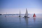 Sports-Iceboat 75-31-00551