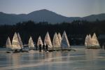 Sports-Iceboat 75-31-00596