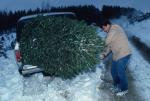 Holiday-Christmas 50-05-00234