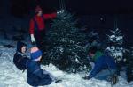 Holiday-Christmas 50-05-00237