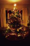 Holiday-Christmas 50-05-00374